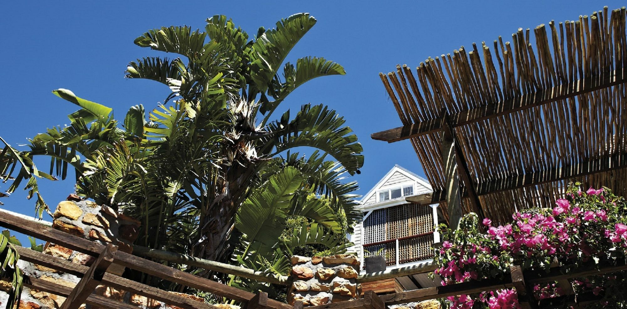 African Violet Guest Suites Noordhoek Exterior photo